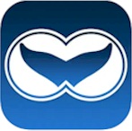 preventing whale strike and marine life dangers